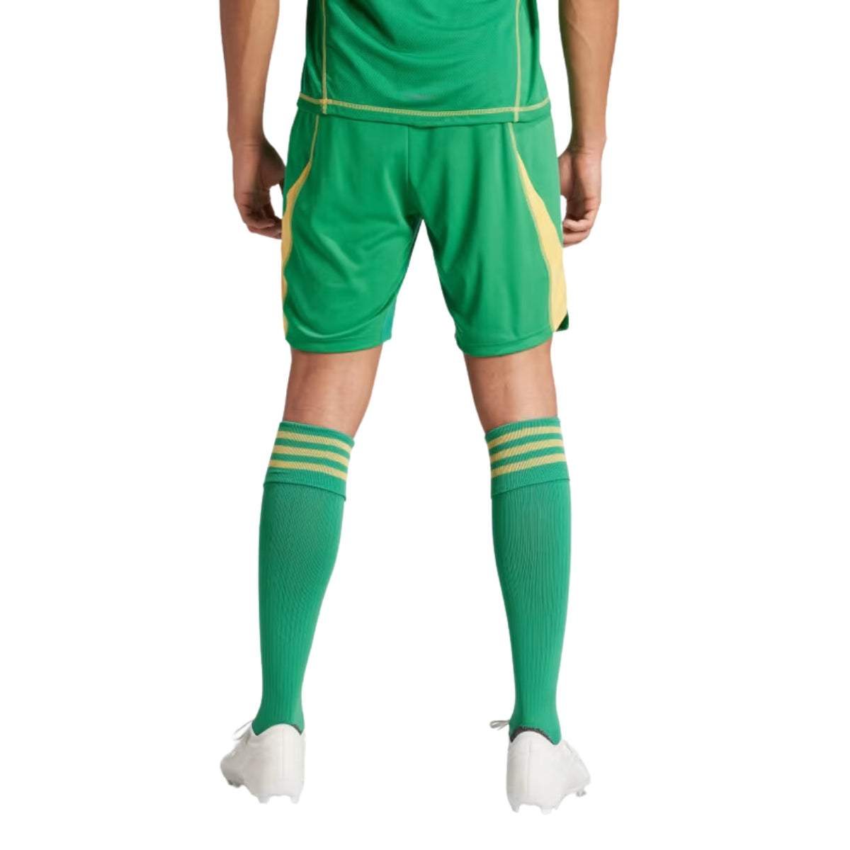 Short Verde T24 PGK SHO